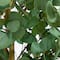 9ft. Potted Green Artificial Eucalyptus Tree
